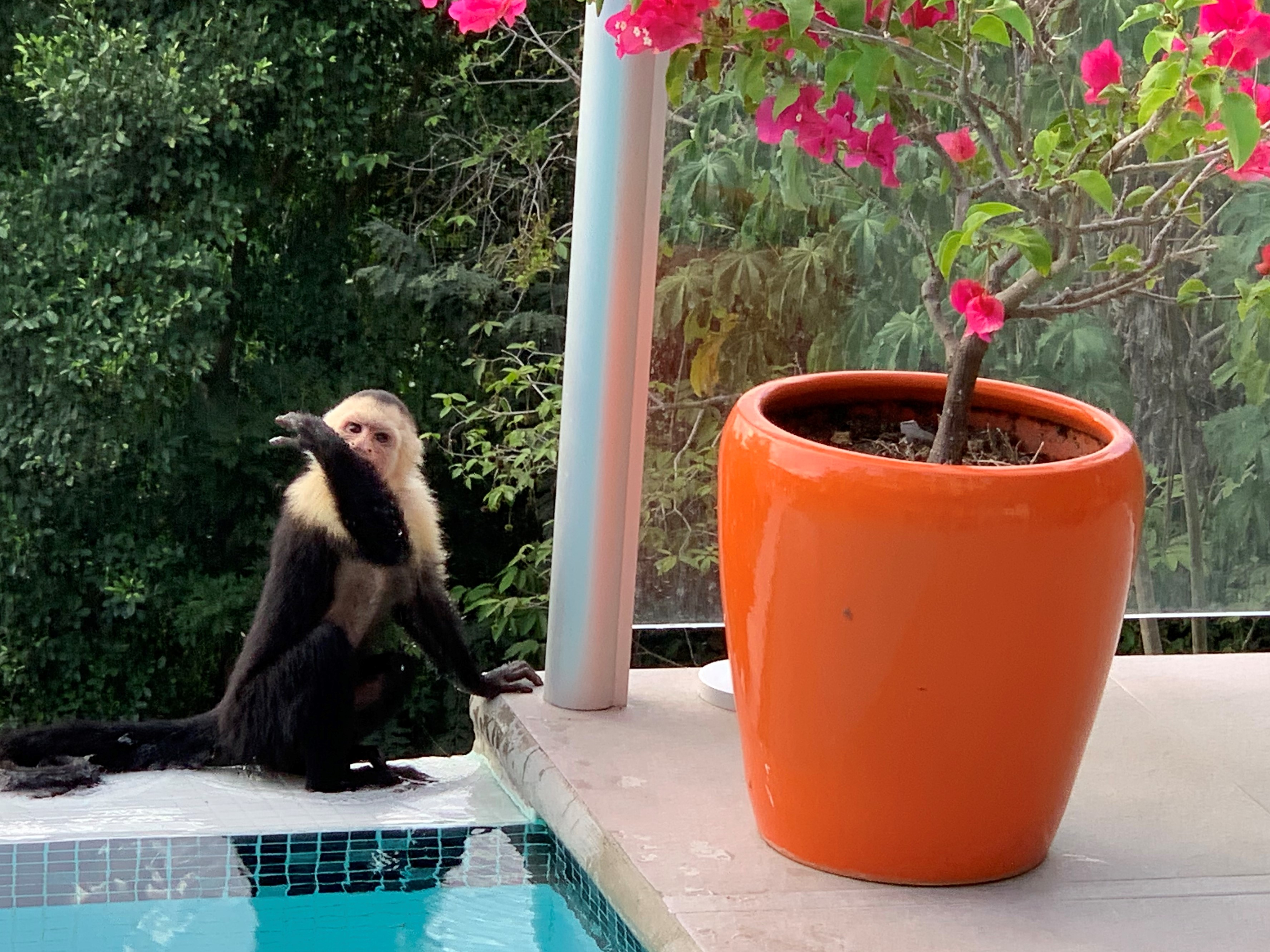 Costa Rica